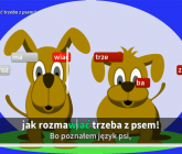 Karaoke ZWIERZAKI - 50 Piosenek dla Dzieci DVD